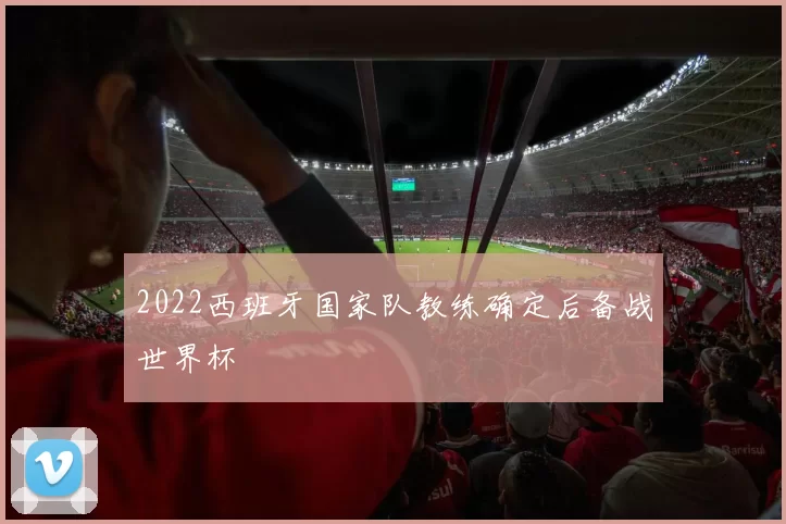 2022西班牙国家队教练确定后备战世界杯