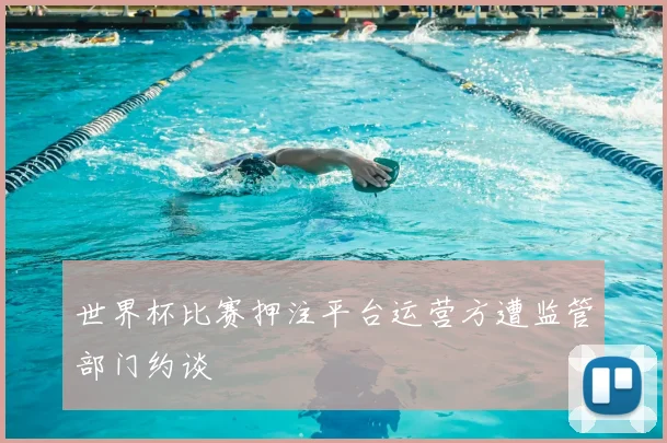 世界杯比赛押注平台运营方遭监管部门约谈