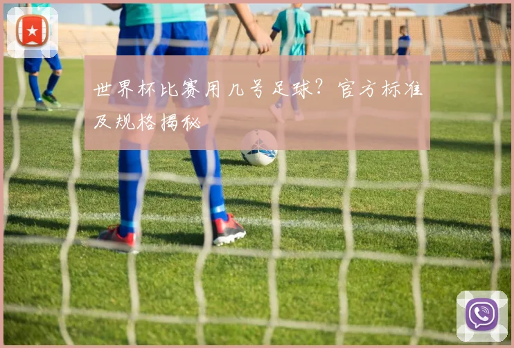 世界杯比赛用几号足球？官方标准及规格揭秘