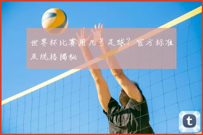 世界杯比赛用几号足球？官方标准及规格揭秘