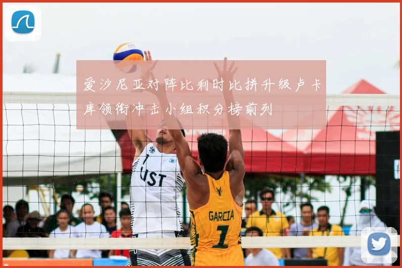 爱沙尼亚对阵比利时比拼升级卢卡库领衔冲击小组积分榜前列